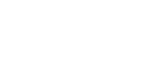 Pondy Web Developers logo White