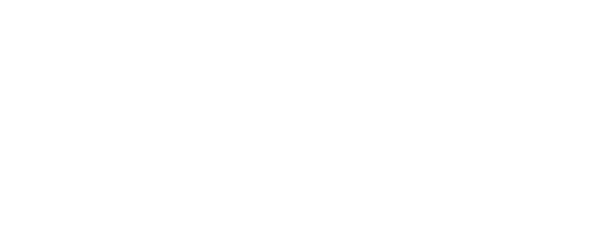 Pondy Web Developers logo White